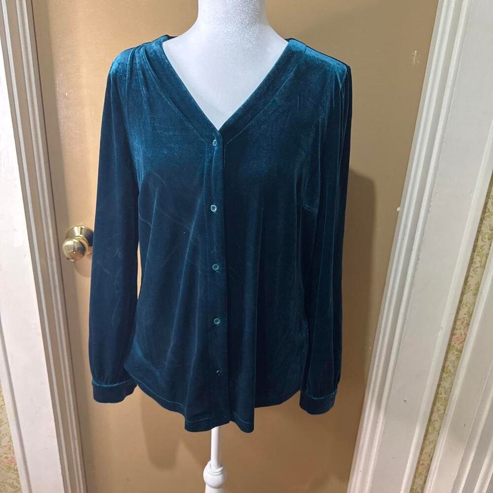 Blueishgreen velvet button up blouse